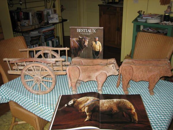 Adresse à ceux qui nous gouvernent, vous m’écoutiez d’une oreille distraite, cause toujours tu nous intéresses… mais que veux-tu que nous fassions*… mon testament en souvenir de mes aïeux paysans…