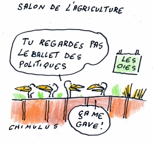 CHAP.15 opération Chartrons, « Dans son imagination, le président a vu que le gardien partait sur sa droite, il a placé une belle frappe côté gauche. » Hollande reconnaît donc encore sa droite de sa gauche.