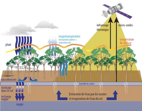 Y-aura-t-il un jour toujours des vaches dans nos prés ?