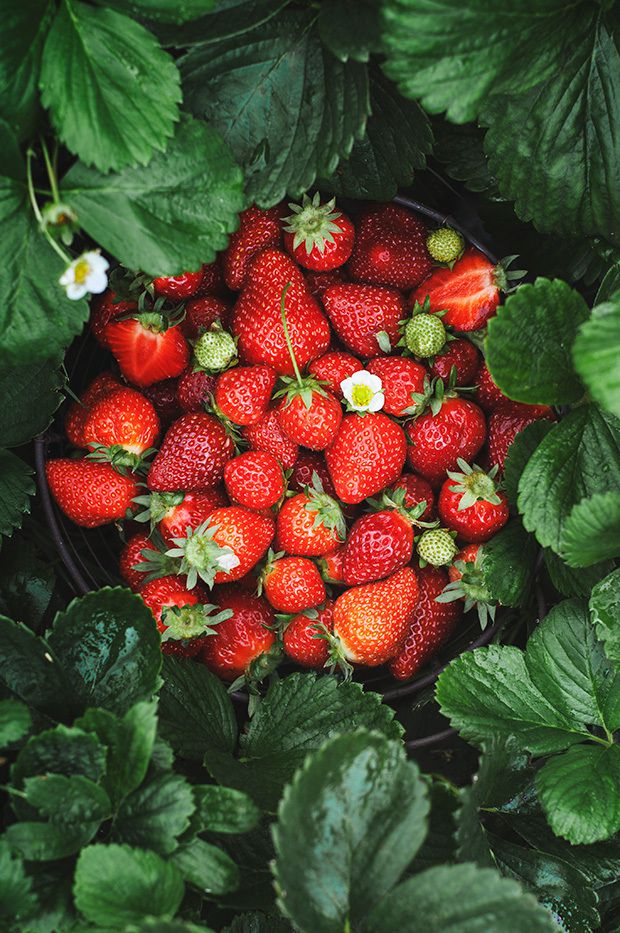 le-panier-de-fraises