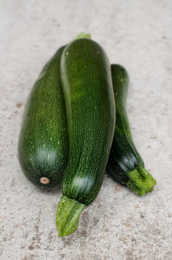 courgettes-du-potager