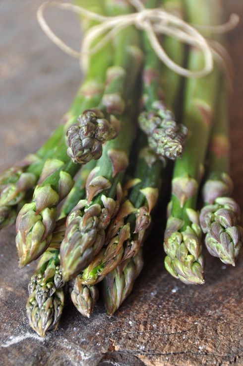asperges-vertes