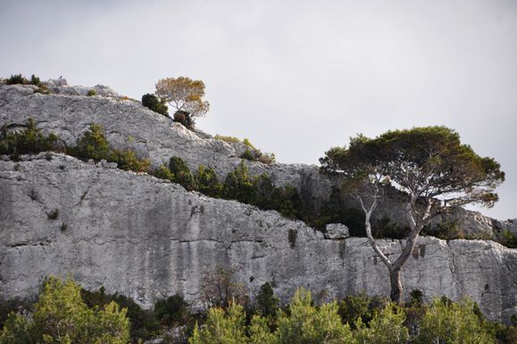 alpilles