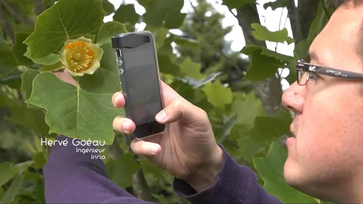 Pl@ntNet : une application de collecte, d'annotation et de recherche d'images pour l'aide à l'identification des plantes.