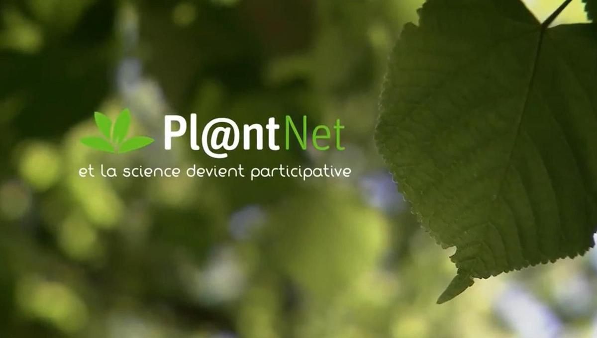 Toutes les photos sont extraites de la vidéo