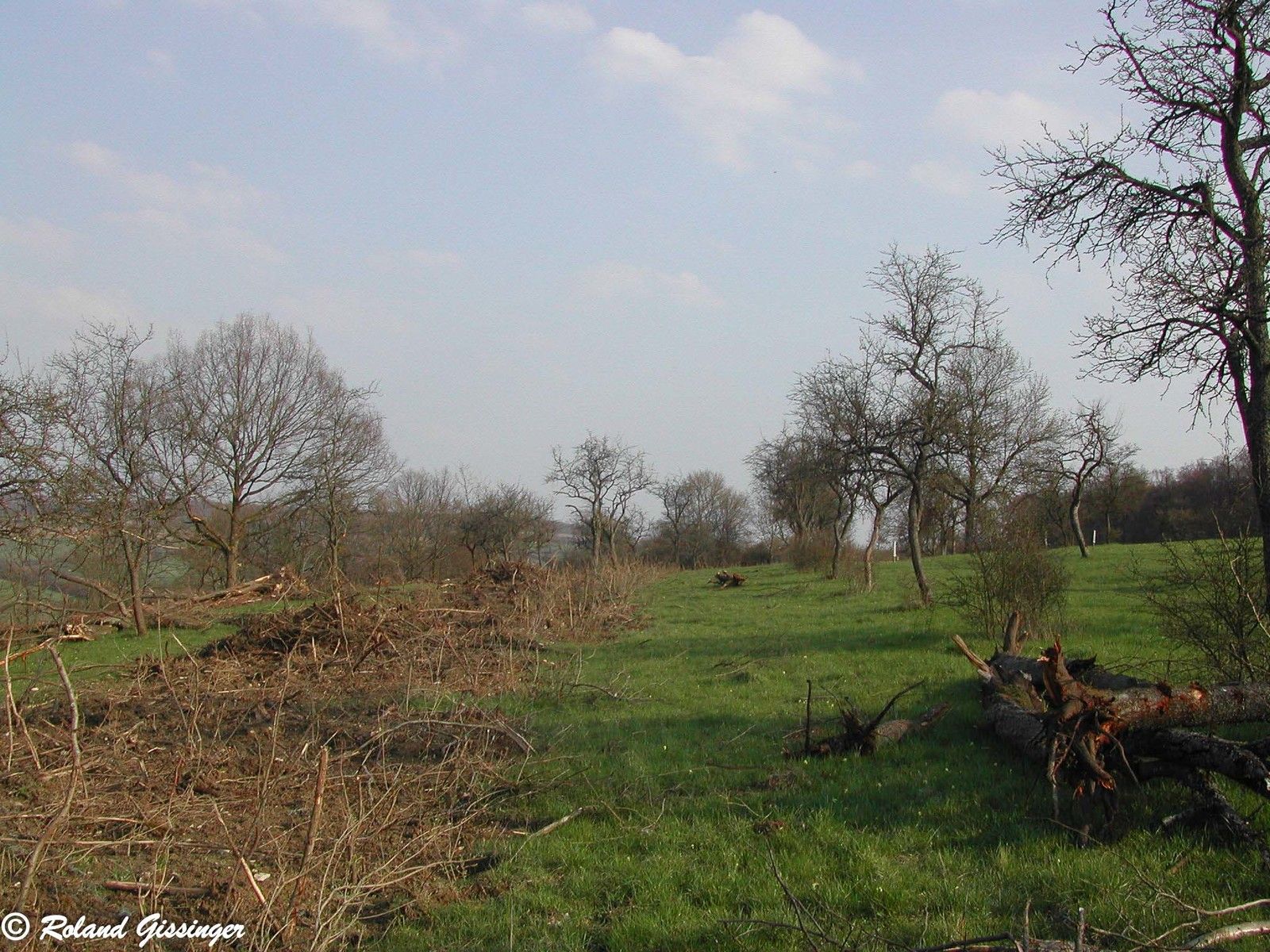 Destruction des haies comment les inspecteurs de l