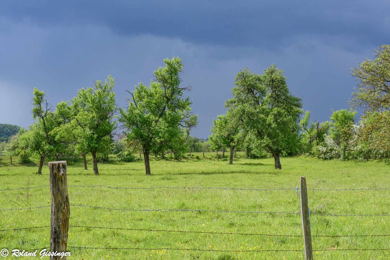 Avant l'orage et autour de Sarre-Union