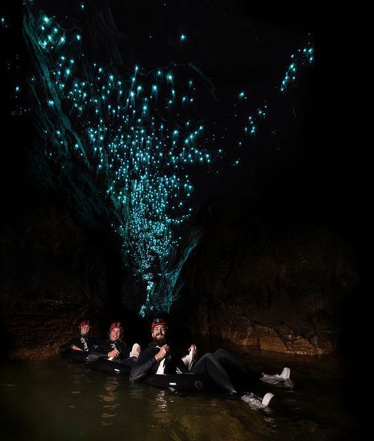 Les grottes aux "glow-worms" de Nouvelle Zélande