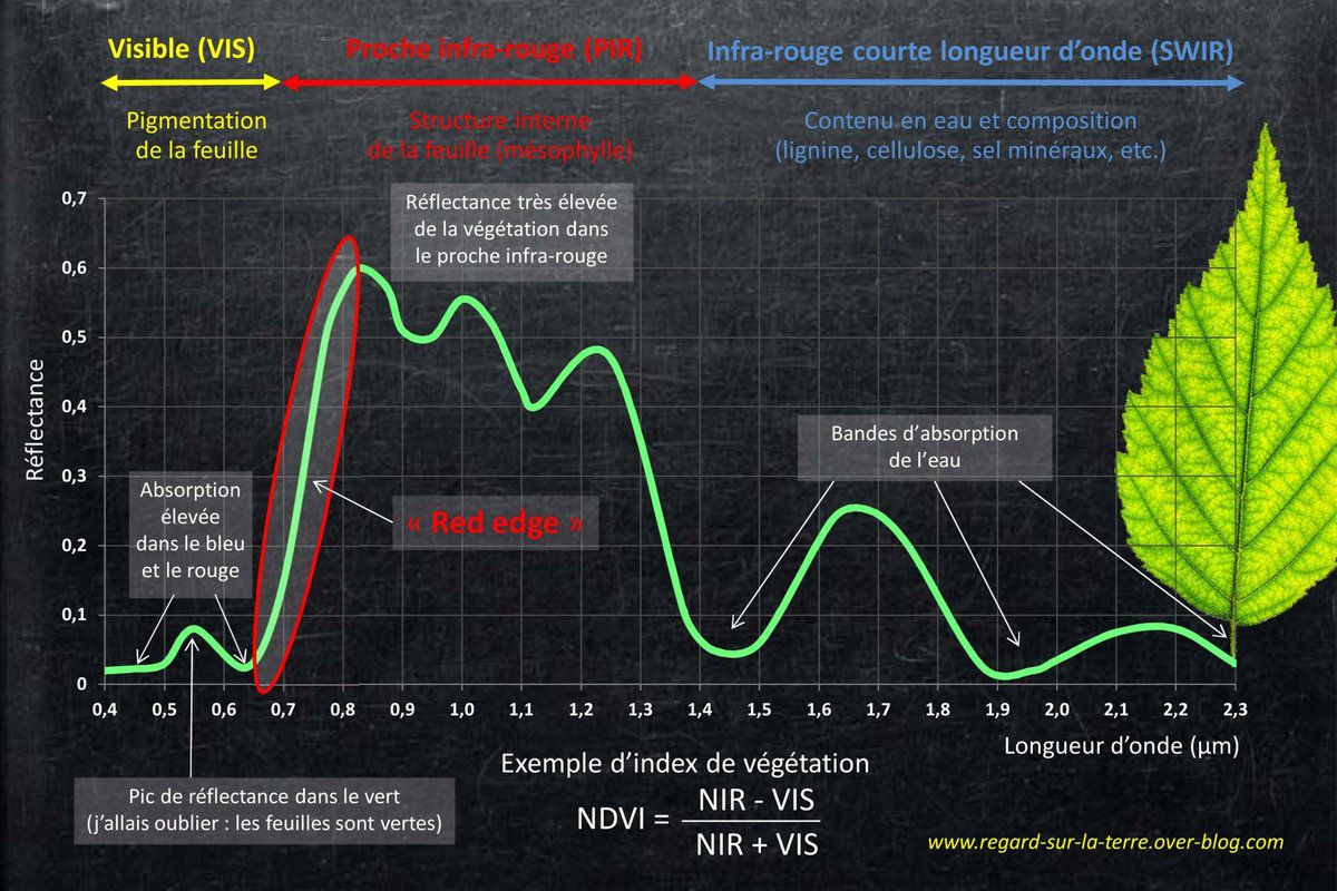 Venµs - Bandes spectrales - Proche infrarouge - Red edge - near infrared - spectrale bands - remote sensing - vegetation index - photosynthesis