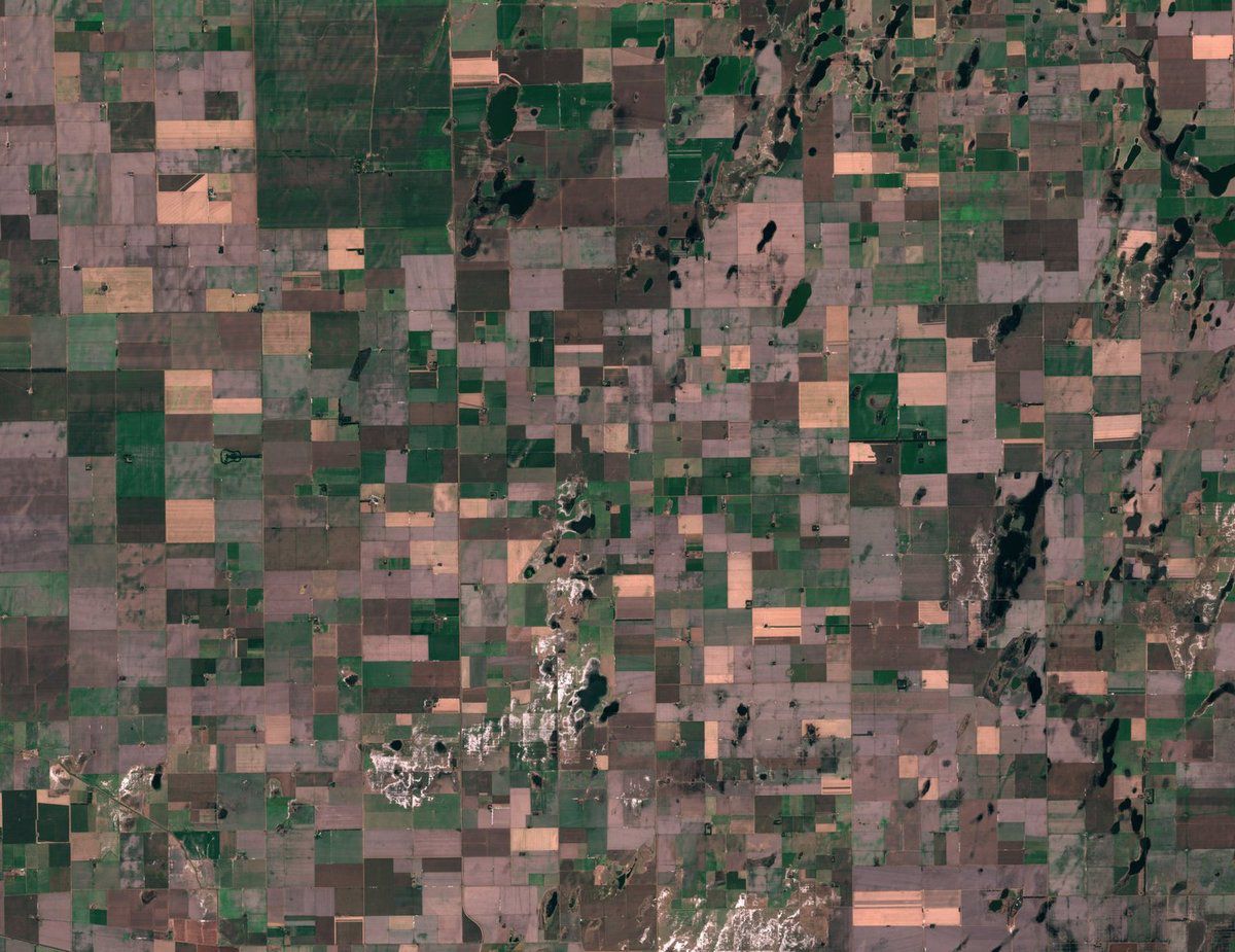 Quiz - Image - satellite - environnement - agriculture - Copernicus - Observation de la Terre - Earth observation - Environment