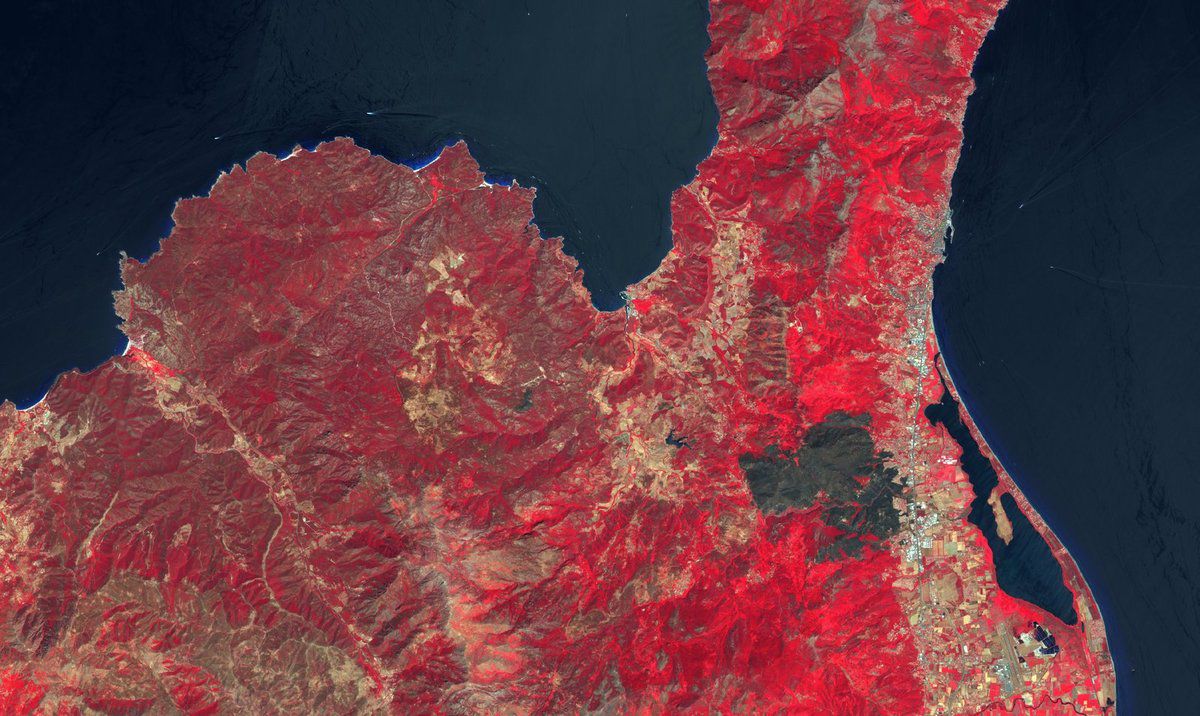 Corse - Incendie - été 2017 - Satellite - Sentinel-2 - Copernicus - surfaces brûlées - Burnt scars - Proche infrarouge - chlorophylle - Index de végétation