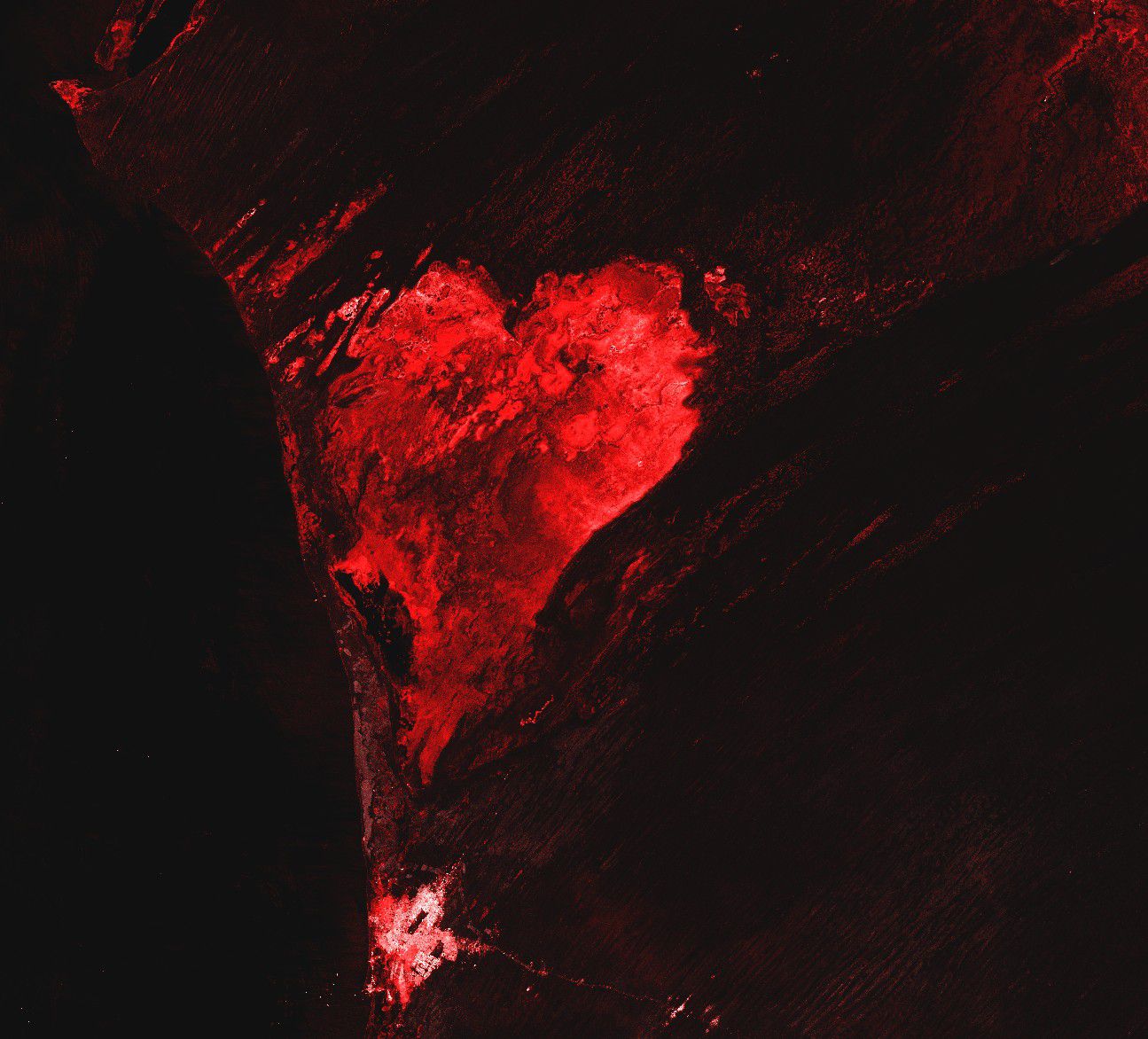 Saint-Valentin - forme de coeur vue de l'espace - satellite - heart - observation de la Terre - Sentinel-1 - Copernicus - Mauritanie - Sebkhet Te-n-Dghamcha - Valentine's day
