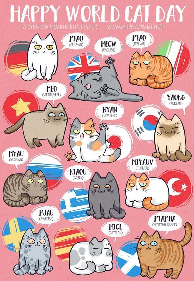 Bonne Fete Les Chats Le Blog De Jackie Bonne Fete Les Chats Le Blog De Jackie