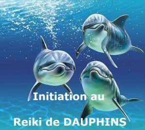 Initiation au reiki des Dauphins