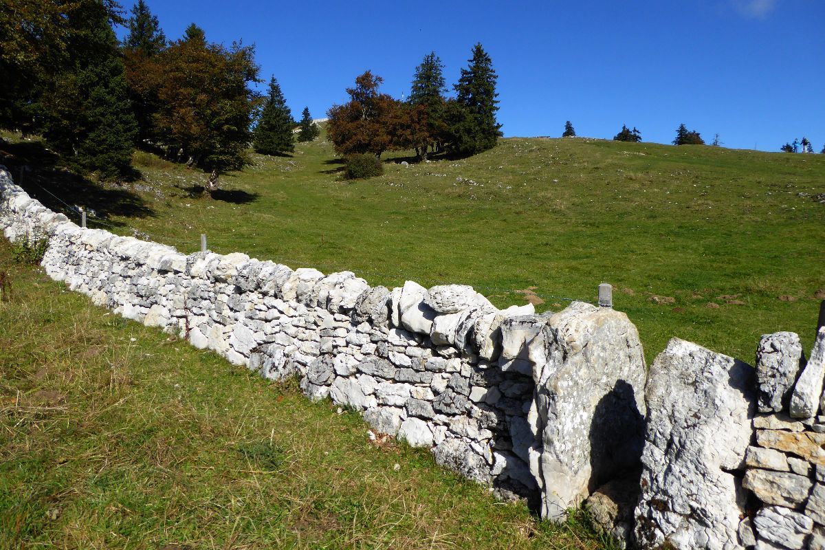 Mur en pierres sèches des montagnes Jurassiennes Suisse