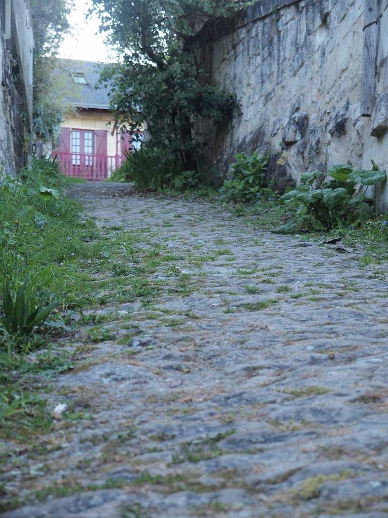 Sur le bord de la Loire, le joli village de Montsoreau (49)