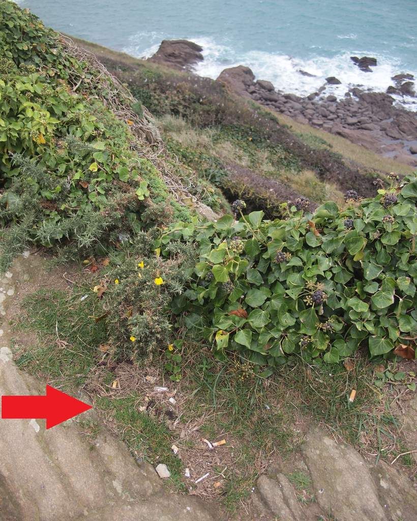 Pointe du Grouin, Mardi 17 Novembre 2015.