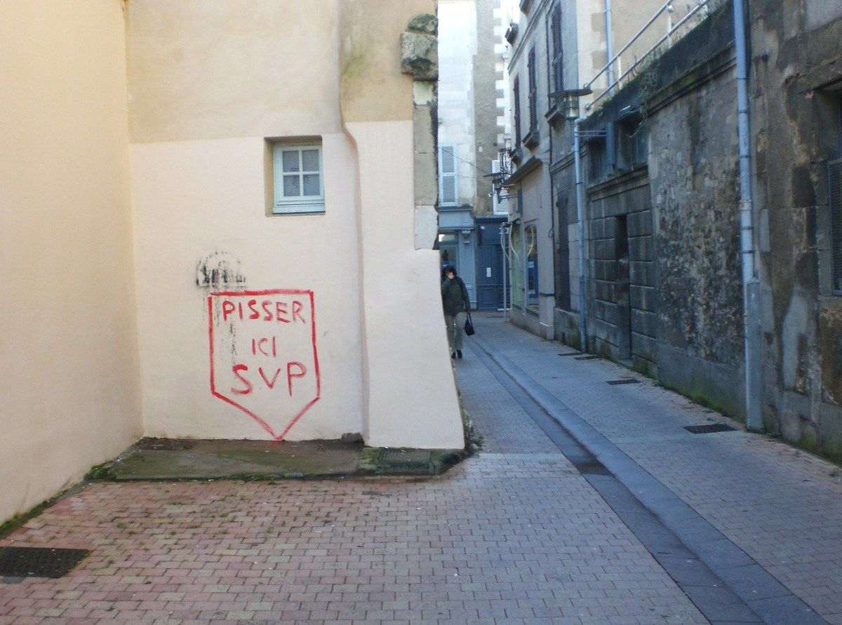 Poitiers, passage de la Petite Roue, 4 Février 2009.
