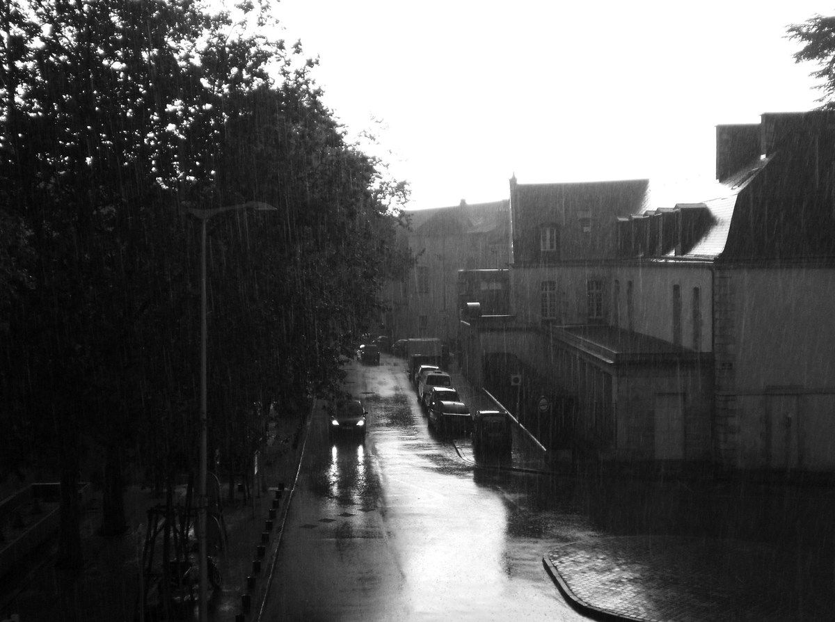 Poitiers, rue de l'Université, Mai 2010.