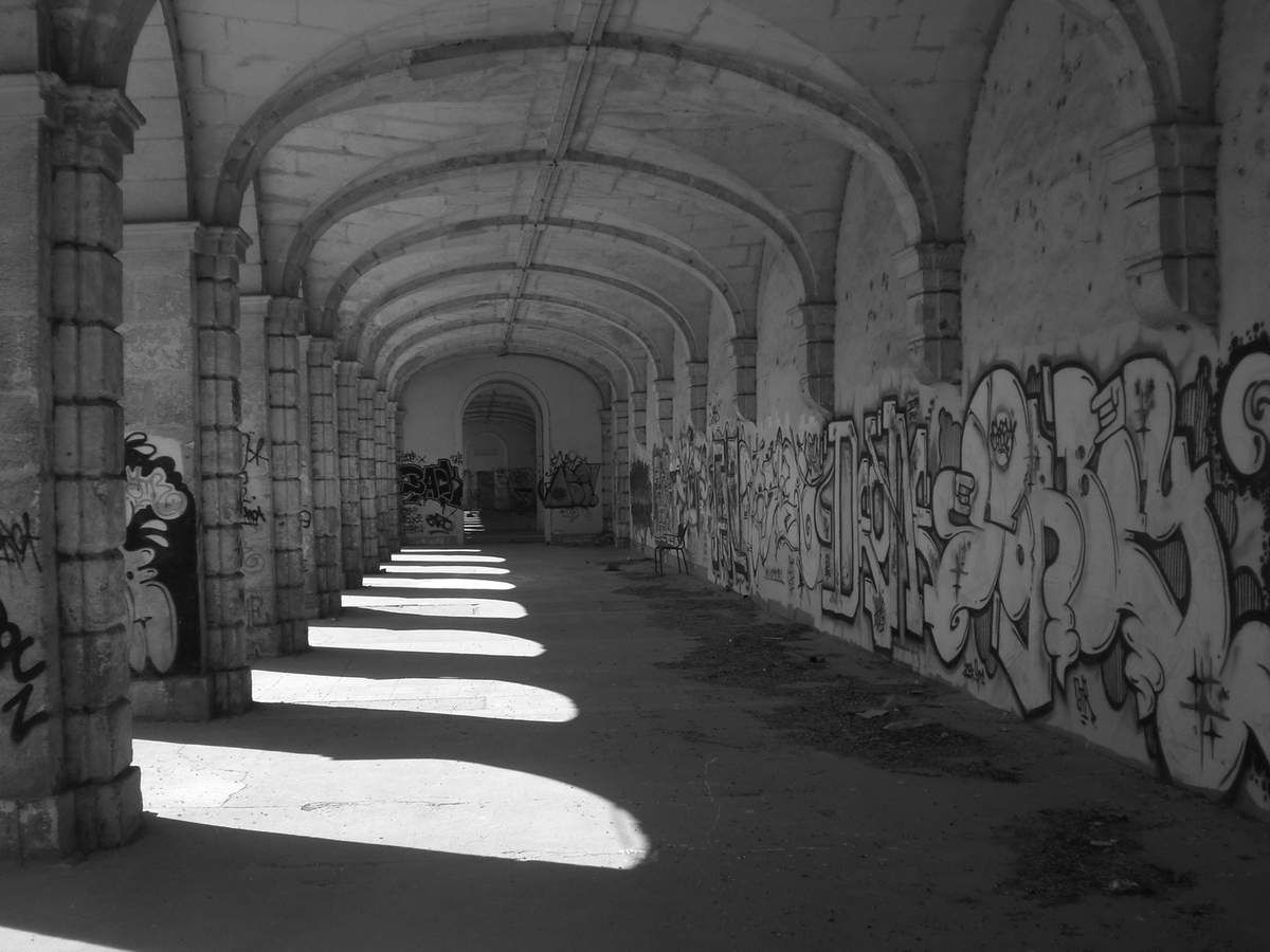 Quelques souvenirs des ruines du futur Rectorat de Poitiers (Avril 2008)