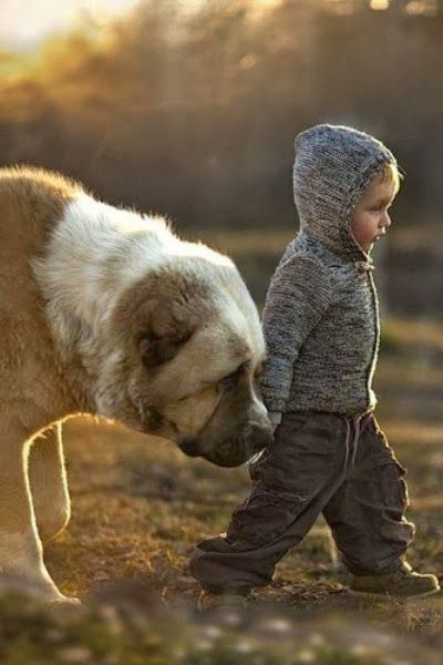 De la tendresse en vrac ......