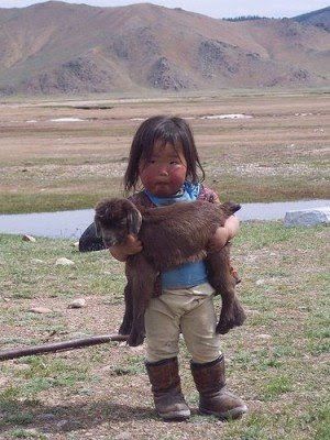 De la tendresse en vrac ......