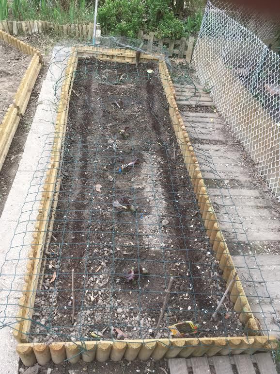 En direct du Jardin !