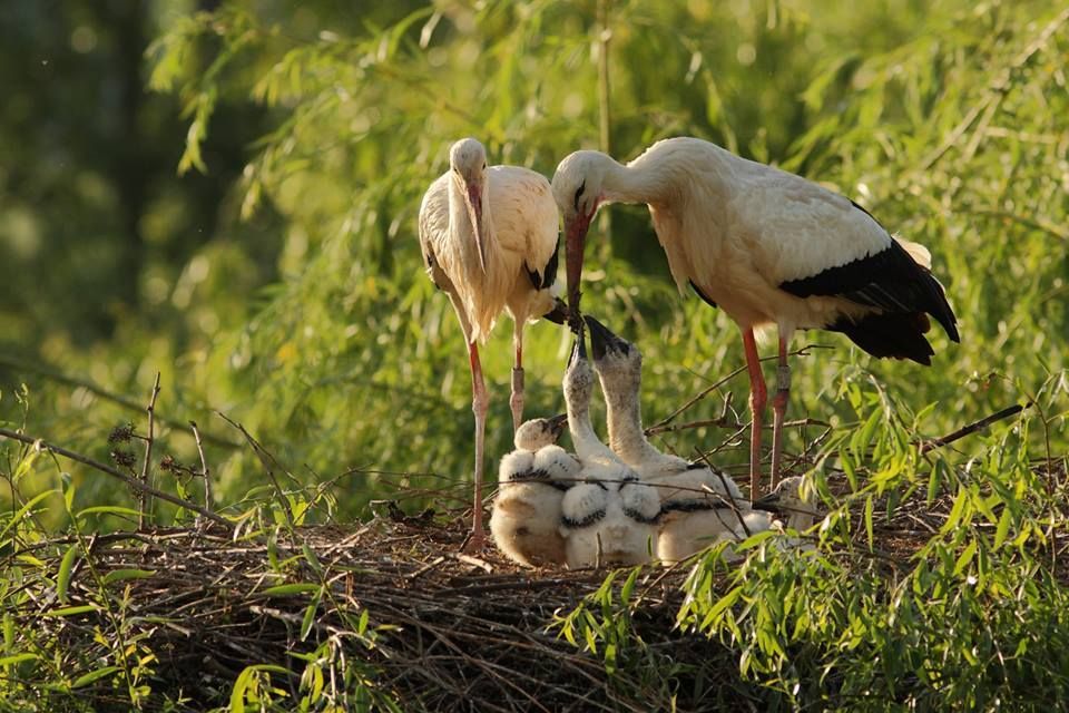 Bonne journée à tous .