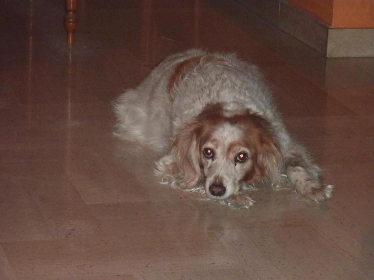 Bonne Nuit Polaire à tous !