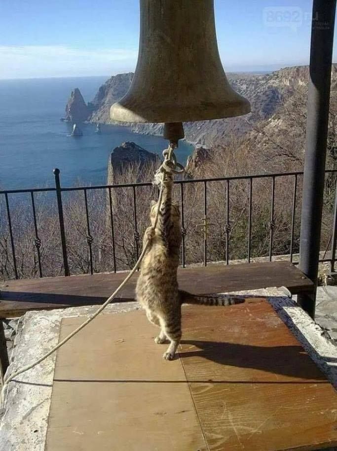 Bonne nuit polaire à tous !