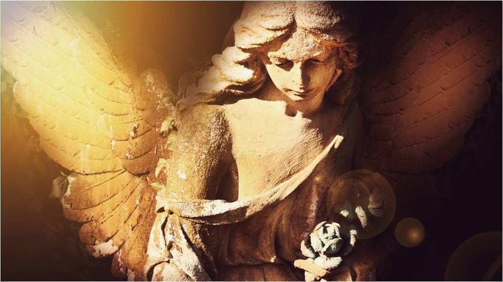 BONNE NUIT POLAIRE à TOUS !