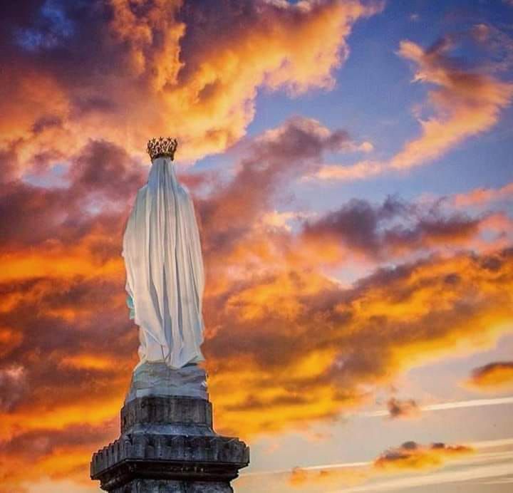 Bonne nuit polaire .