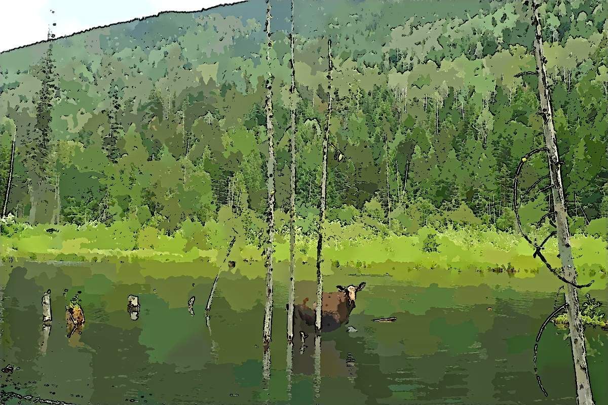 Kootenay