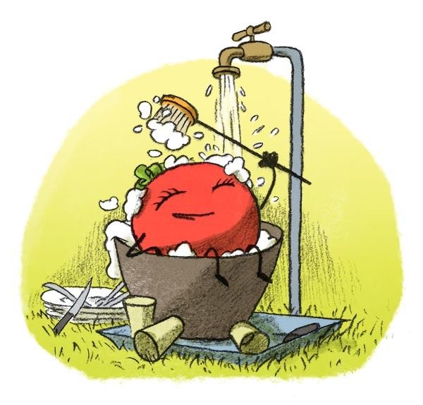 La folle histoire des plantes : Mini-épisode 1 bis : C’est quoi ton petit nom ?