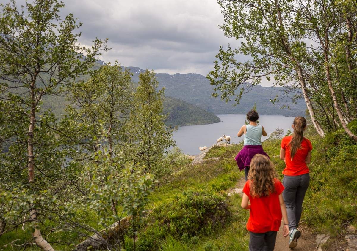 Peu après, randonnée ultra sauvage le long de la rivière qui alimente ce lac