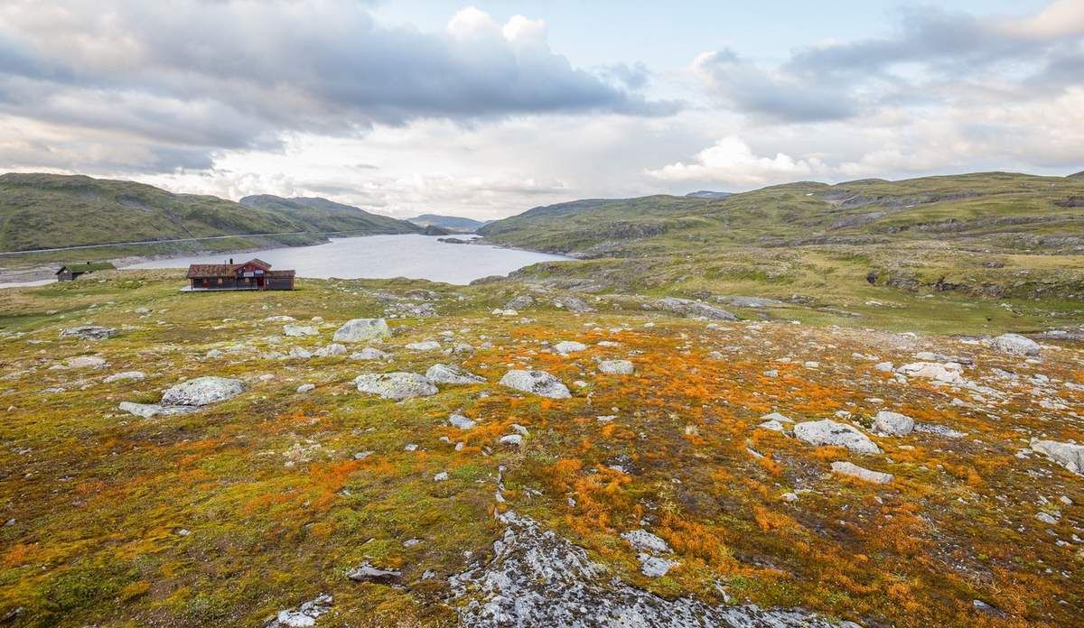 Soirée étape vers 1000 m d'altitude sur la route 13 (Vikafjell). Je m'octroie une balade du soir en espérant le coucher de soleil. Je ne le verrai pas mais le paysage sera tout de même exceptionnel avec des ambiances presque automnales !