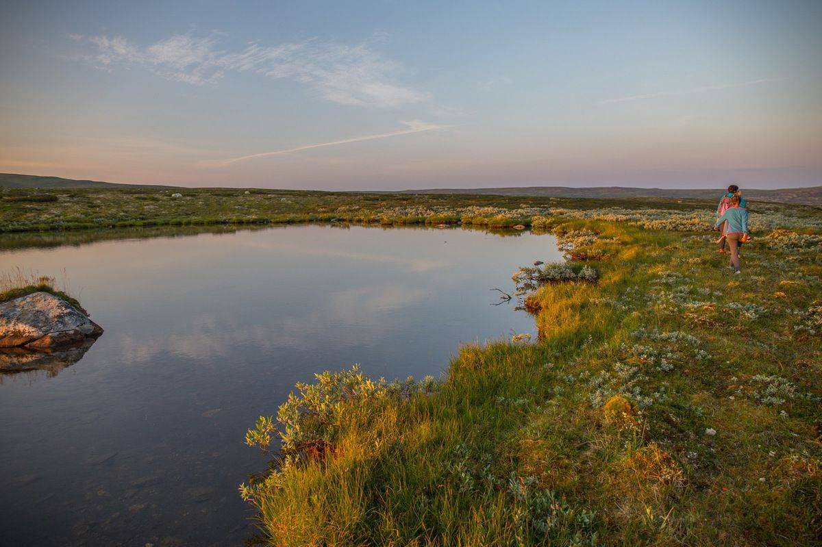 En plein coeur du Forollhogna