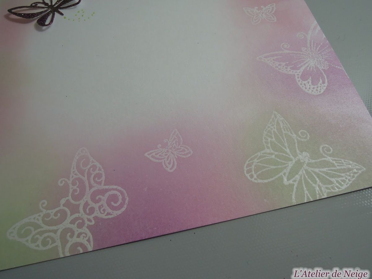 237 - Carte Anniversaire Papillon