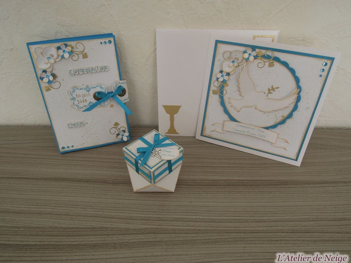 044 - Cartes Remerciements Communion Evan 10 juin 2018