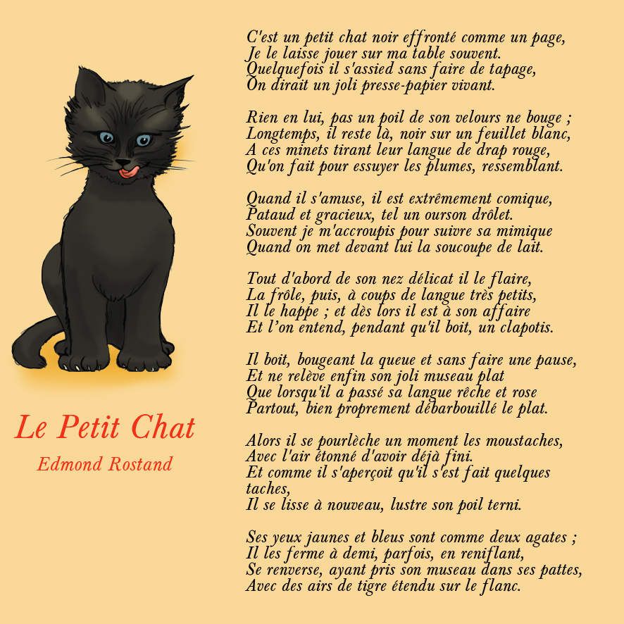 Le Petit Chat D Edmond Rostand Le Blog De Domi Le Petit Chat D Edmond Rostand Le Blog De Domi