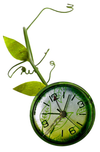 Citations Sur L Heure Le Temps Qui Passe Le Blog De Domi