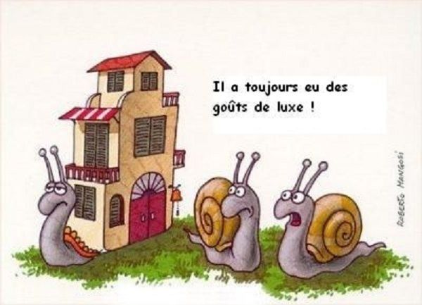 Avoir Images De La Pluie Des Escargots Dictons Humour En Images Le Blog le plus cool salutations