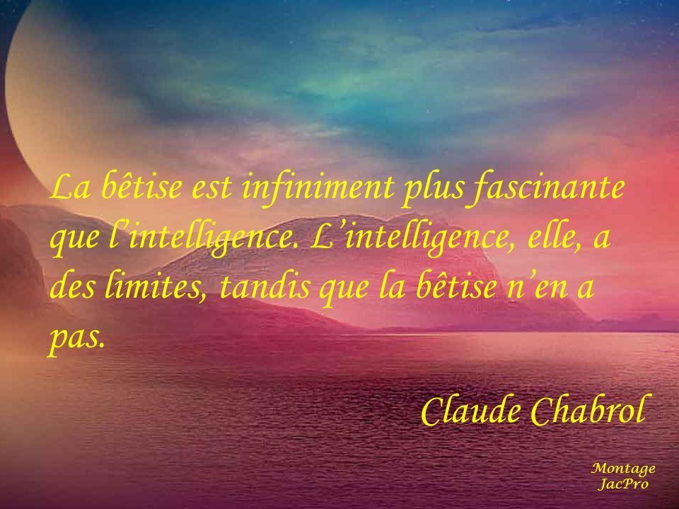 Une Citation De Claude Chabrol Sur La Betise Le Blog De Domi