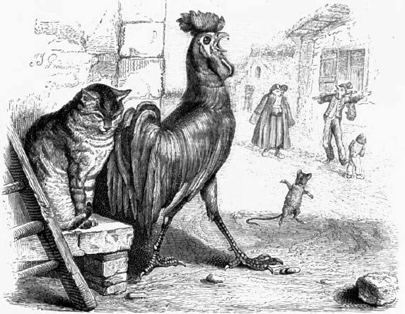 Jean De La Fontaine Le Cochet Le Chat Et Le Souriceau Analyse De La Fable Le Blog De Domi