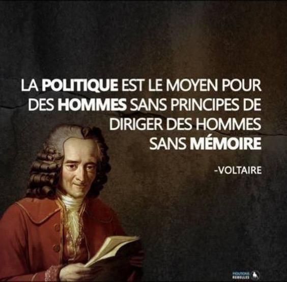 Une Citation De Voltaire Et Une Autre Citation D Etienne De La Boetie Le Blog De Domi