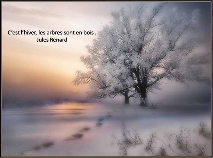 Une Citation Sur L Hiver Le Blog De Domi