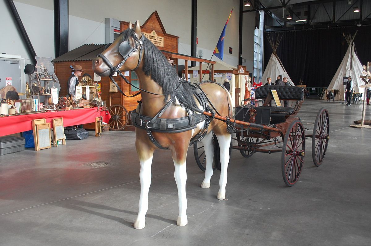 NORMANDY WESTERNERS SHOW 2015
