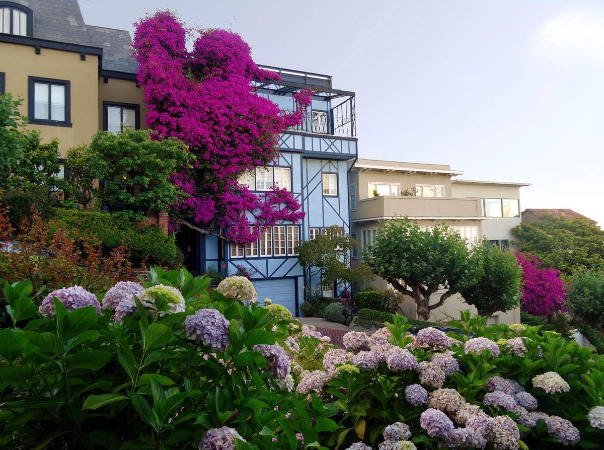 San Francisco Lombard Crooked Street