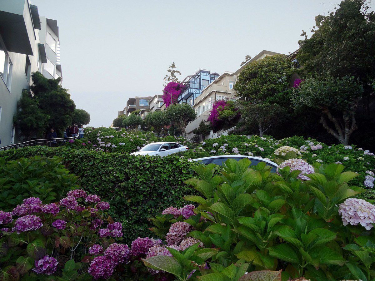 San Francisco Lombard Crooked street