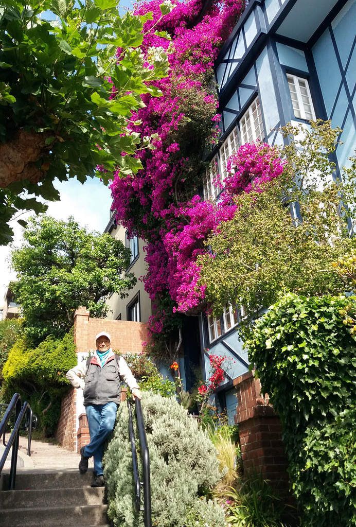 San Francisco Lombard street